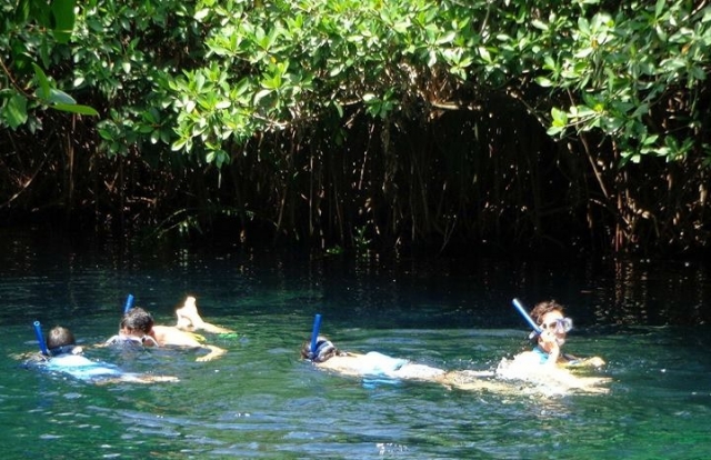 Snorkel en la selvas